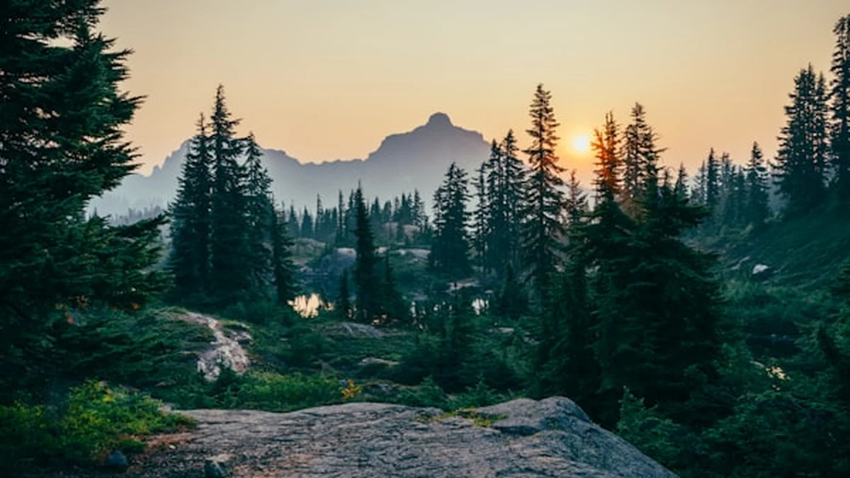 Rebuilding nature from ecosystem restoration to ecological value